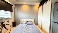 Blk 239 Bukit Panjang Ring Road (Bukit Panjang), HDB Executive #558575701